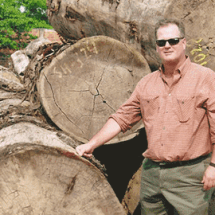 A man wearing sunglasses is standing in front of a pile of logs.