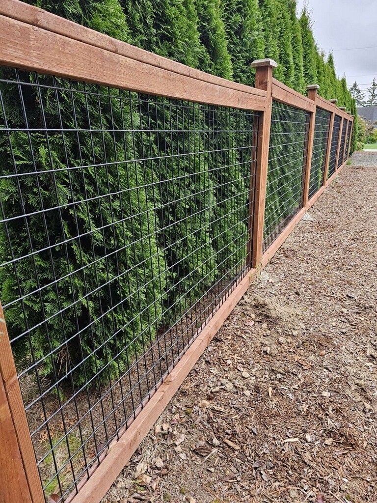 Wooden fence with wire mesh against tall green trees, sunny day.