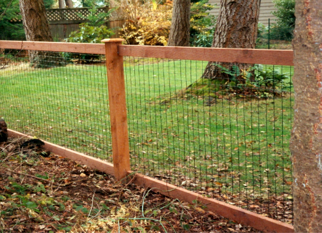 A wooden fence with vertical wire mesh in a yard with green grass and trees.