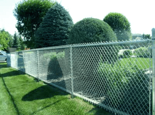 Chain-link fence along a grassy lawn, with bushes and trees in the background.