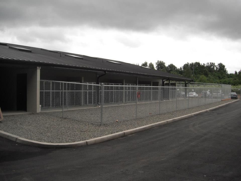 Dog kennels along a building, grey chain-link fence, dark asphalt and cloudy sky.