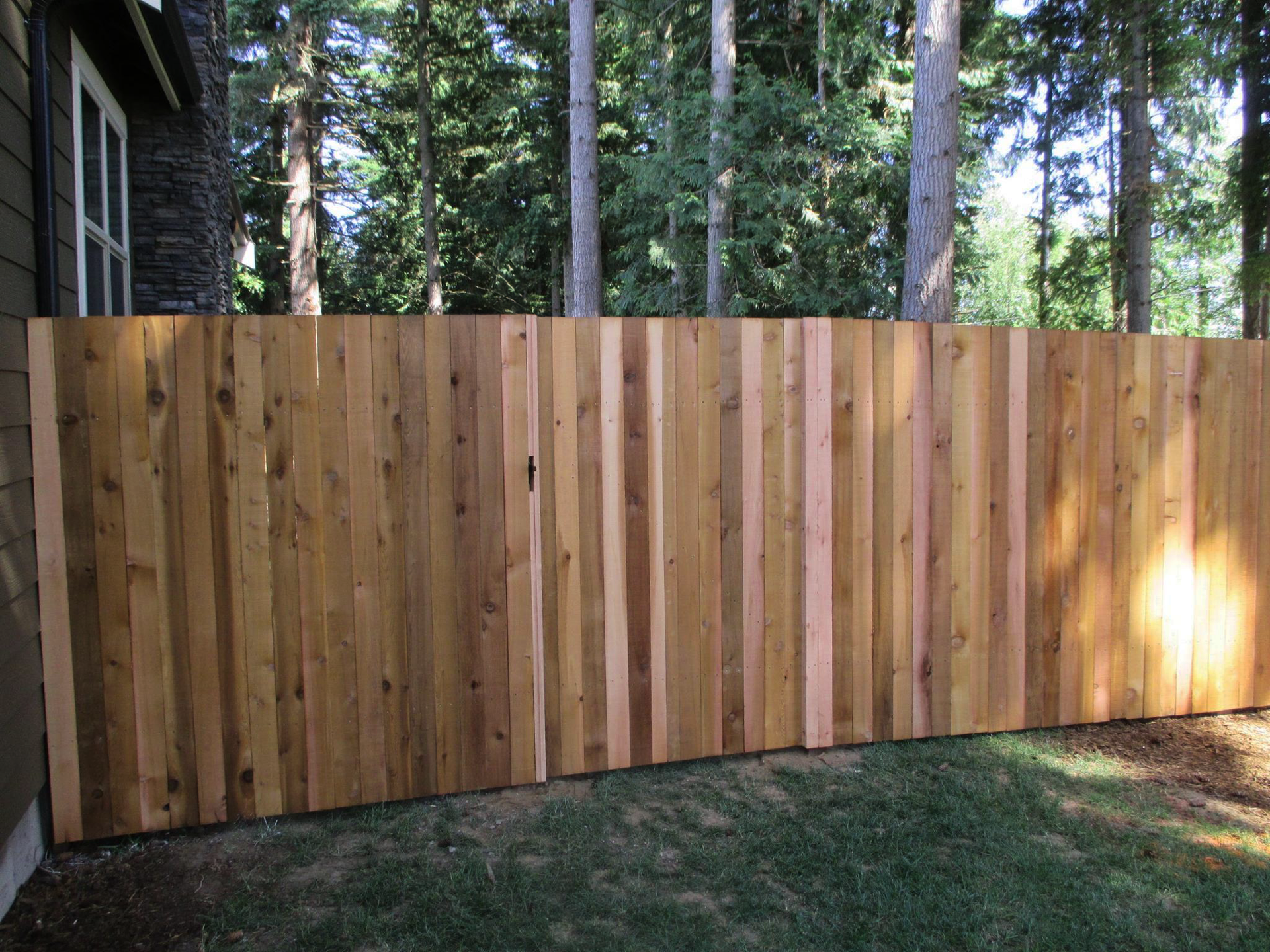 Wooden fence in a yard with green grass and tall trees in the background.