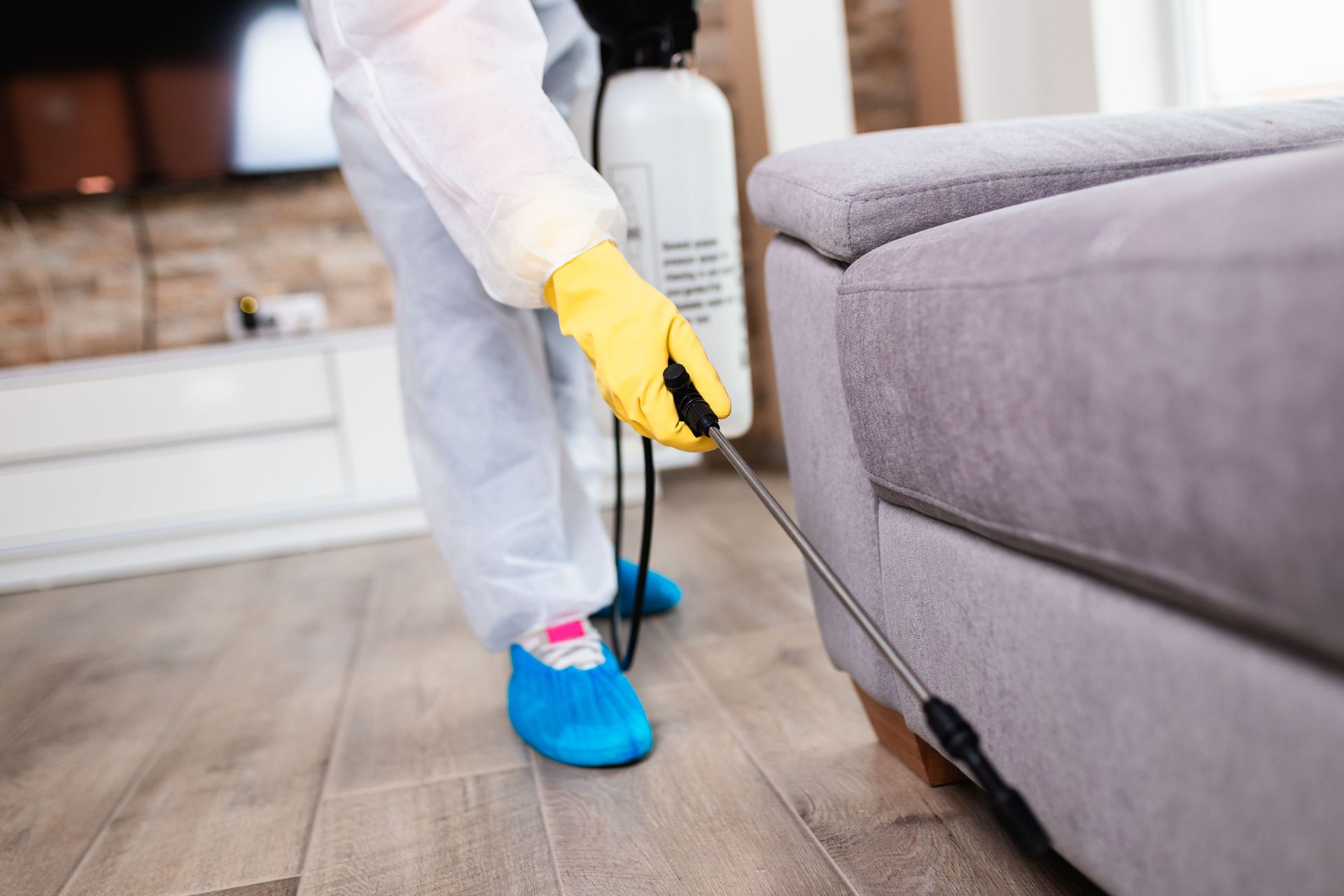 pest control companies