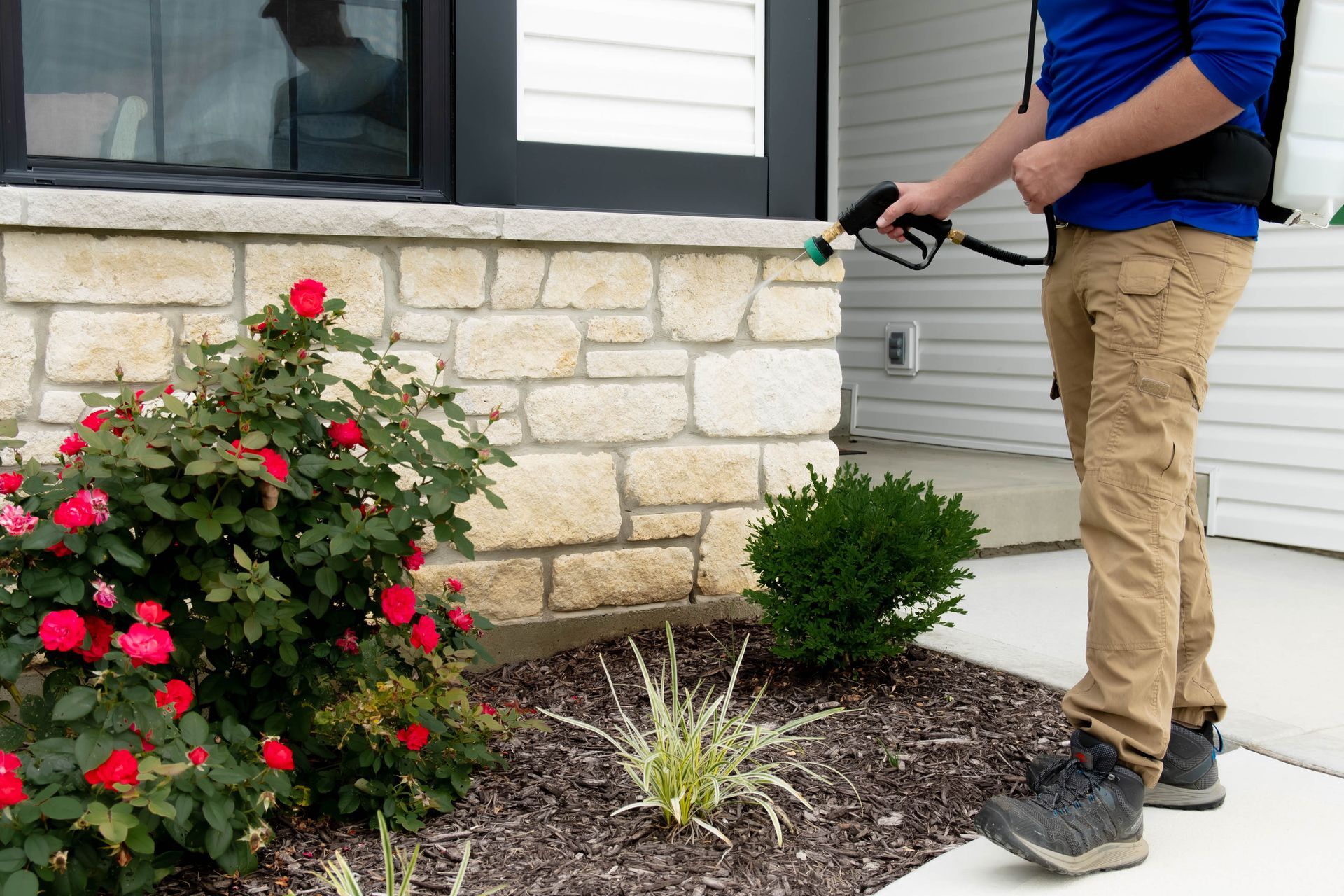 A person in a blue shirt and khaki pants uses a spray wand to treat the stone foundation of a house near a rose bush.
