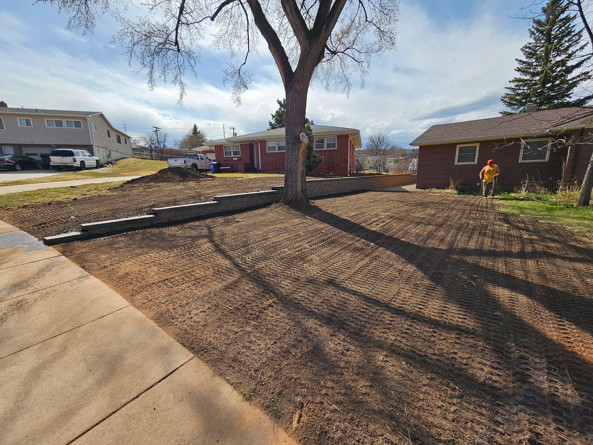 A newly seeded lawn with a tree and houses in the background. A person stands near a building.