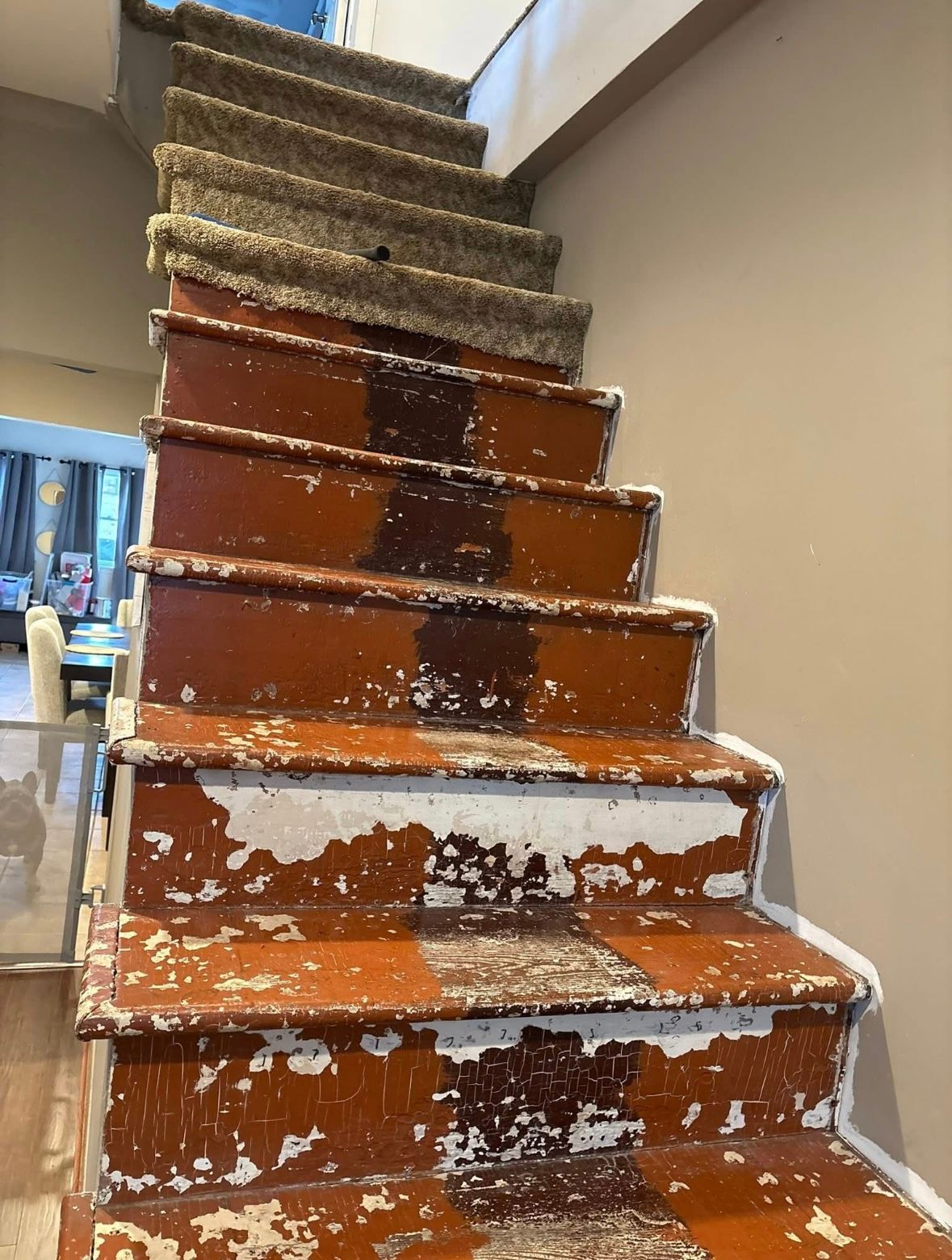 Paint-splattered indoor staircase with worn orange-brown steps and beige walls, viewed from below