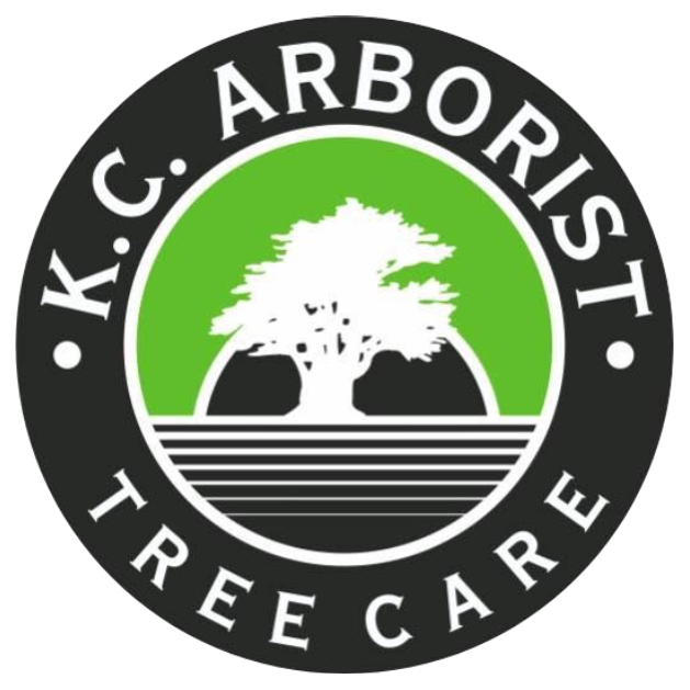 KC Arborist Tree Care