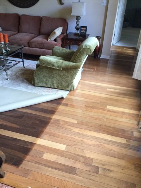 A living room with hardwood floors, green armchair, and brown couch. A rolled-up rug partially covers the floor.