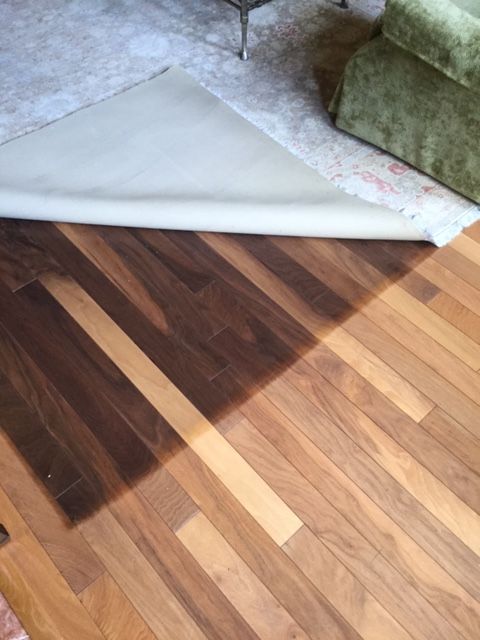 Wooden floor half-covered by a rug. The uncovered portion is darker, showing sun exposure difference.