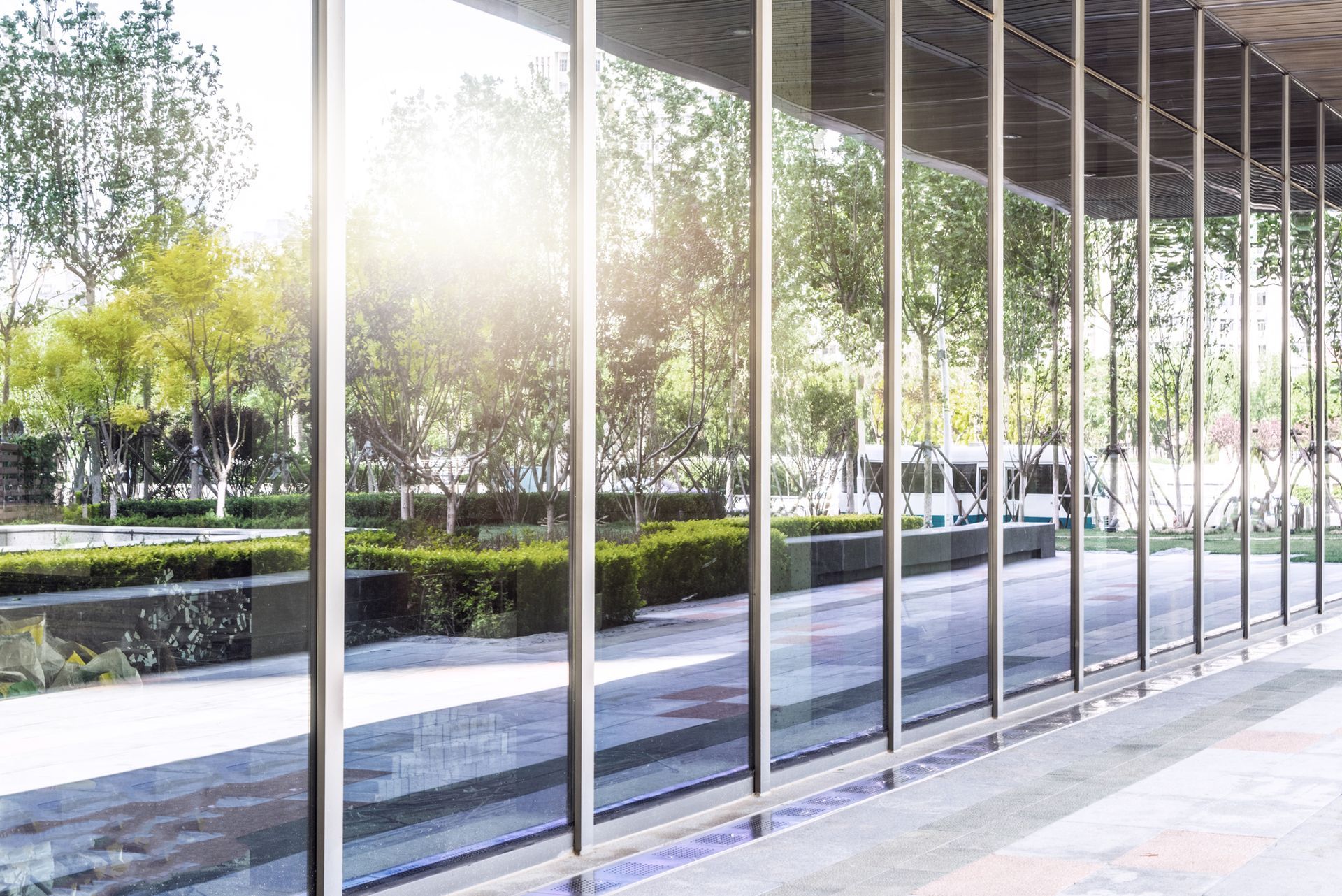 Glass wall reflecting a sunny outdoor scene with trees and a building.