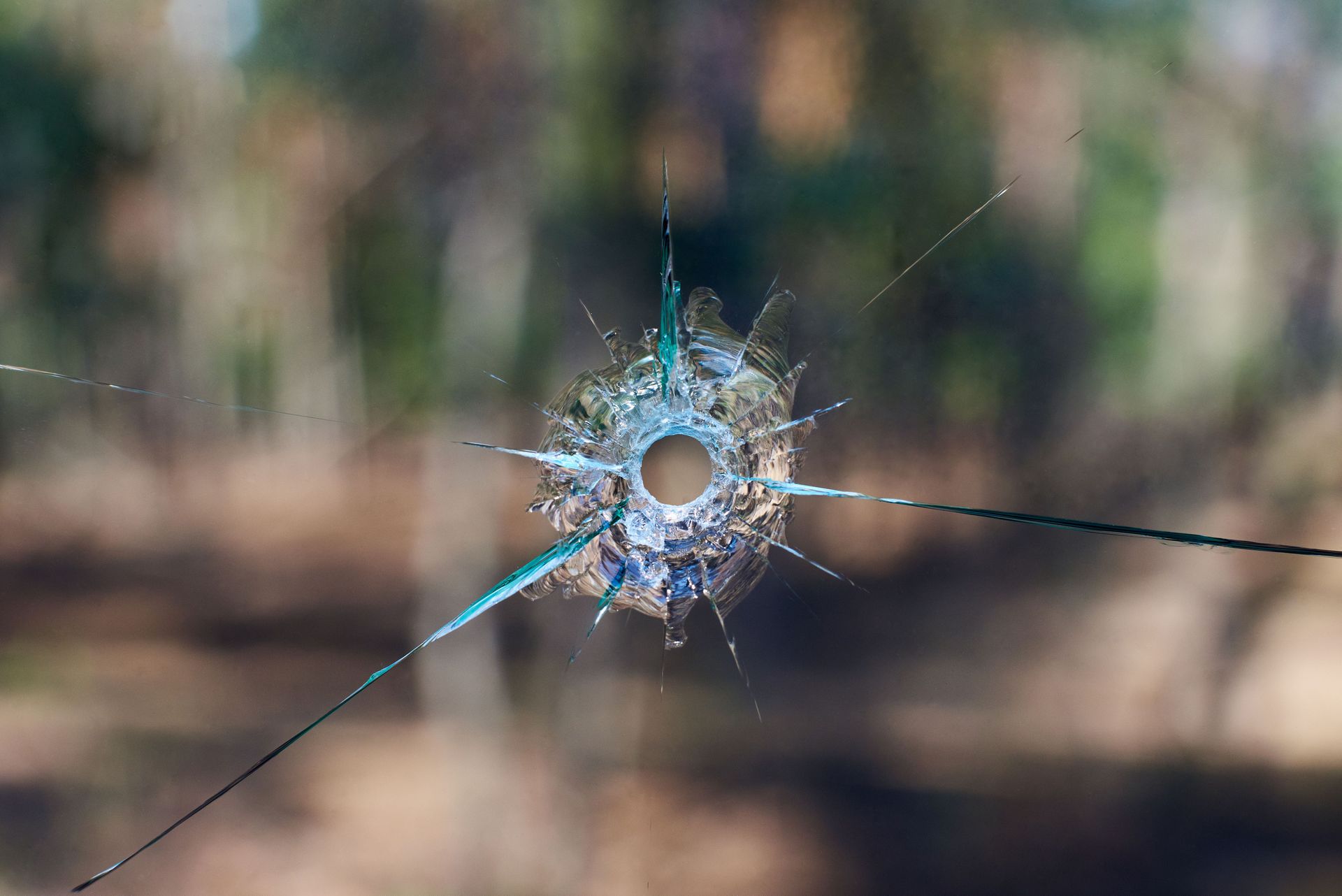 Bullet hole in glass with radiating cracks; blurred forest background.