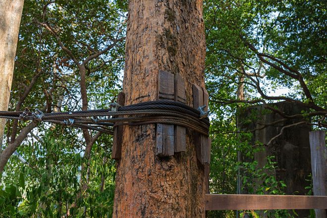 AAA Tree Service
