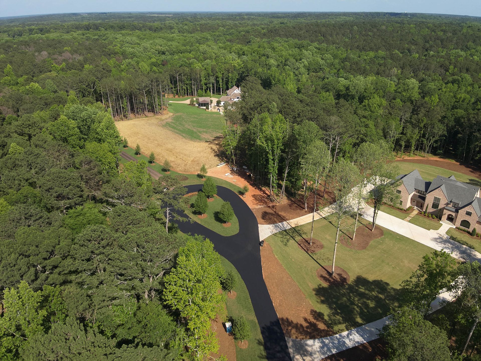 Aerial view of houses nestled among a lush green forest, with winding asphalt driveways.