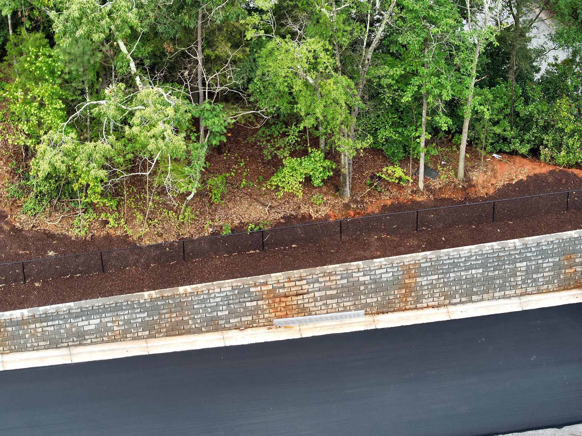 Retaining wall with soil and trees above a dark road.