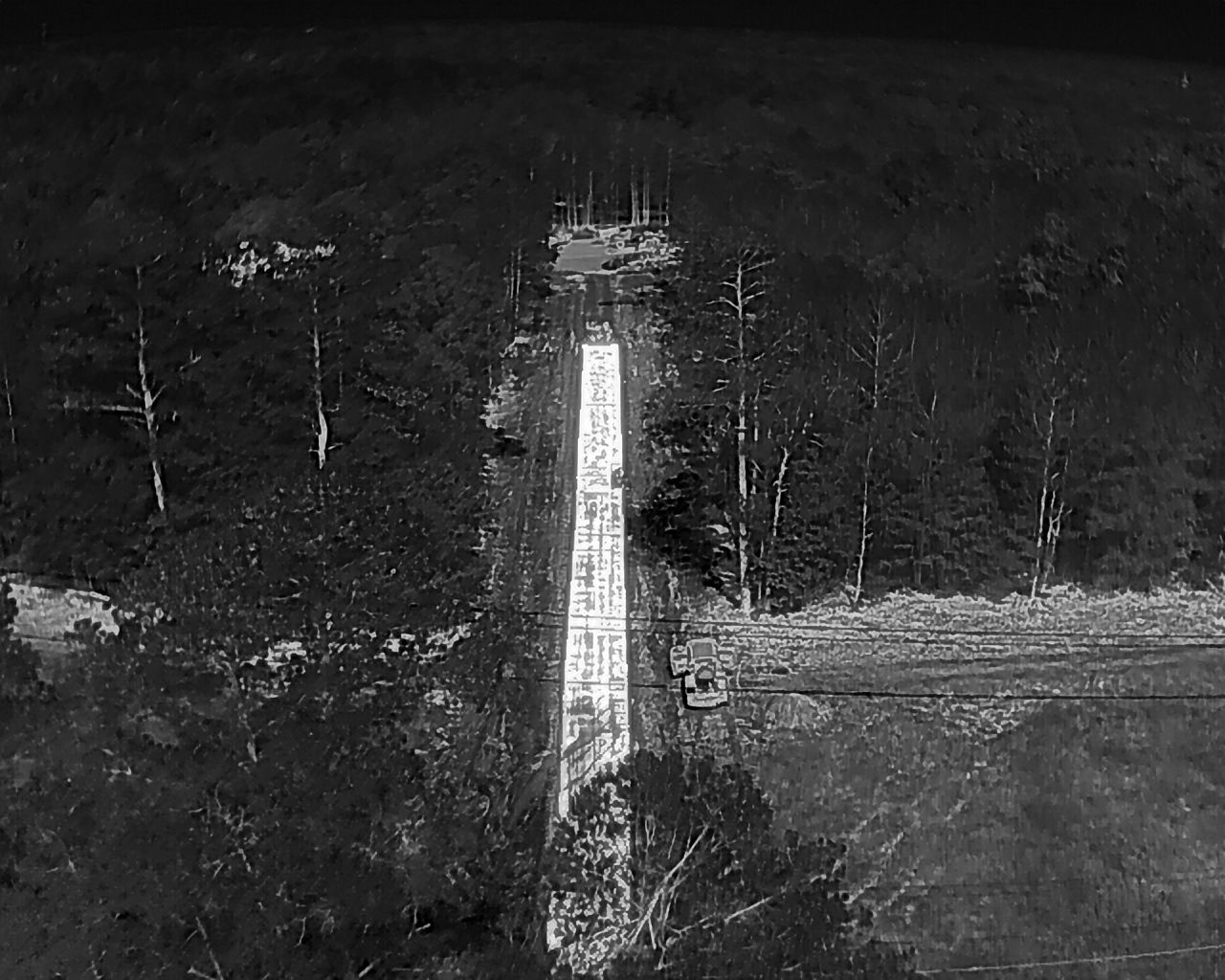 Black and white aerial view of a road through a forest; trees line both sides of the road.