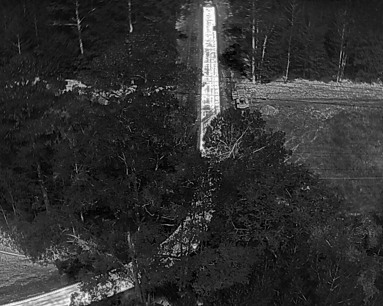 Obelisk rising above trees in a forest, with light shining on the stone structure.