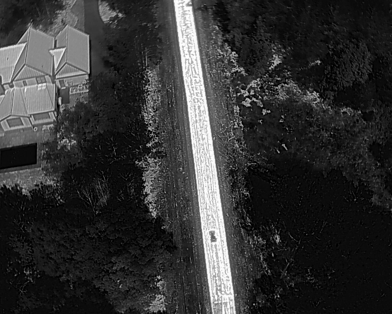 Aerial view of a bright road flanked by trees and a house on the left side.