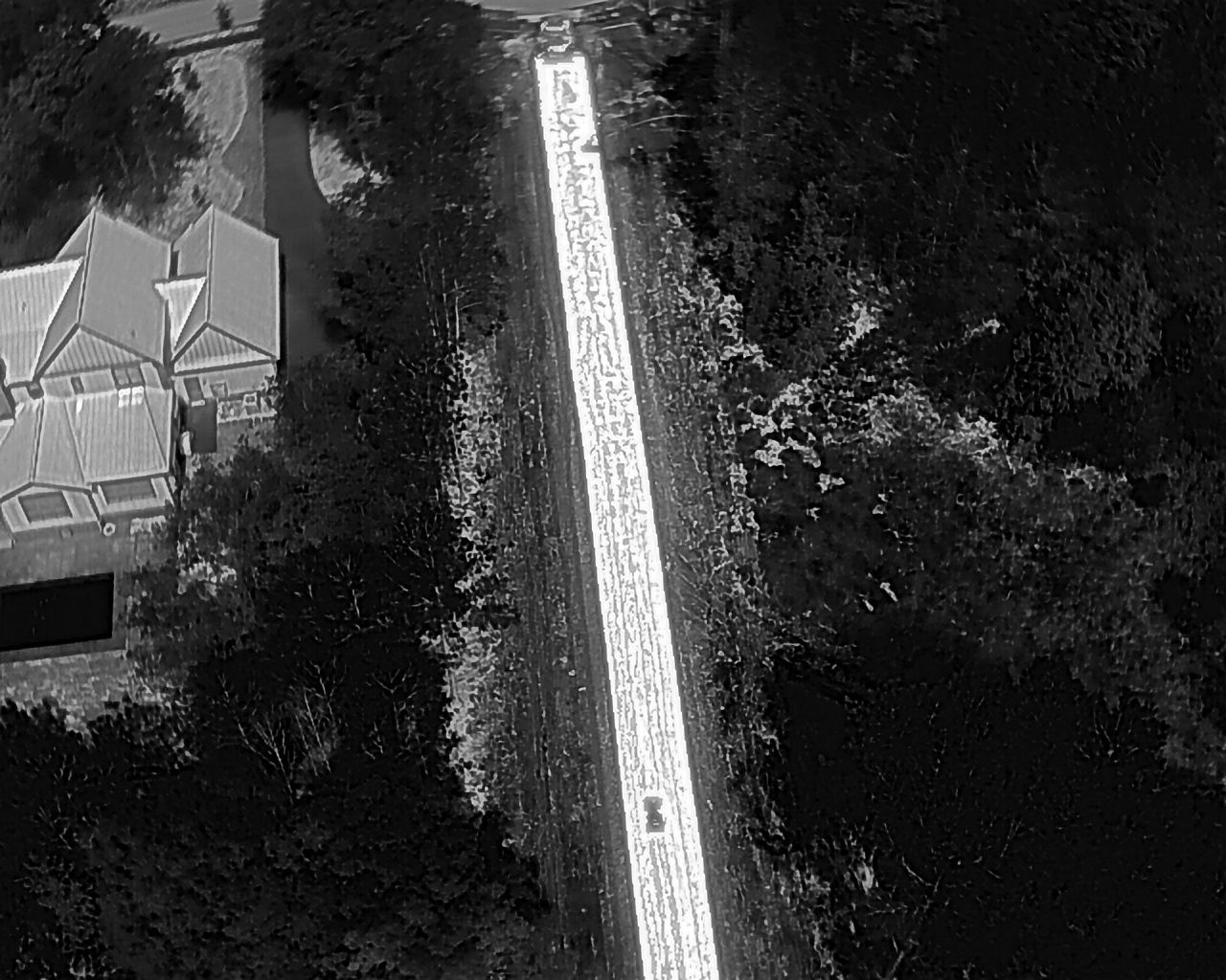 Overhead grayscale view of a road through a wooded area. A car drives on the road; a building is visible on the left.