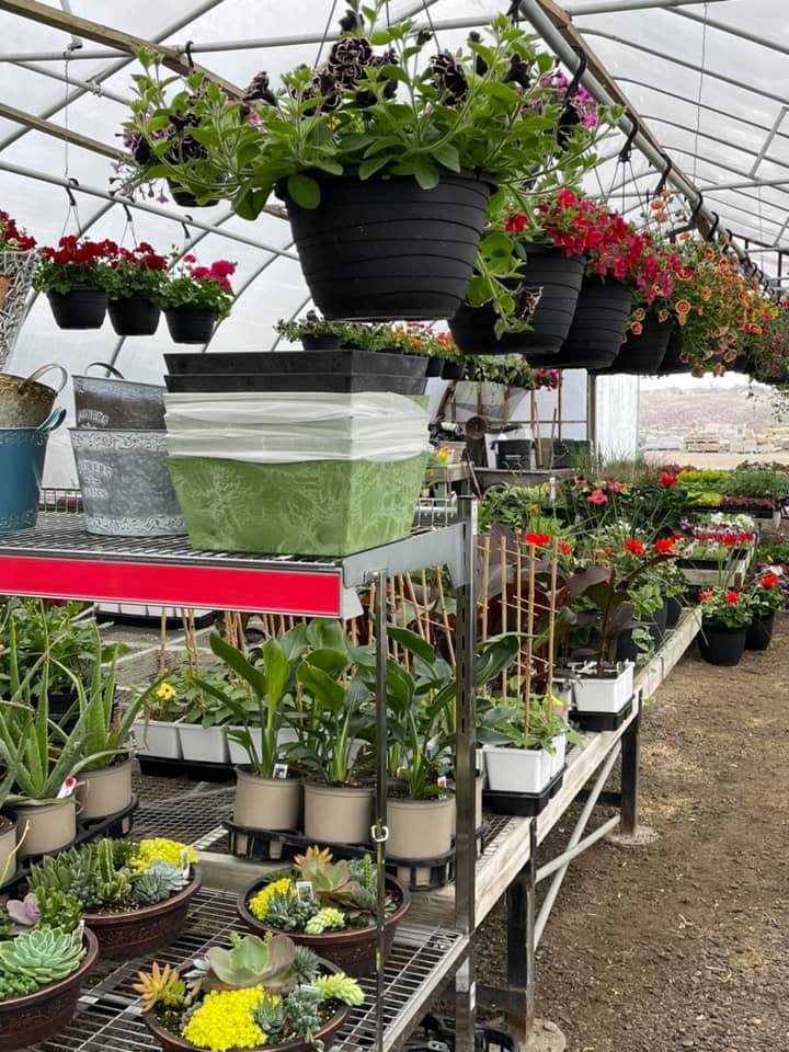 i-and-m-landscaping-nursery,-inc.-gallery-02