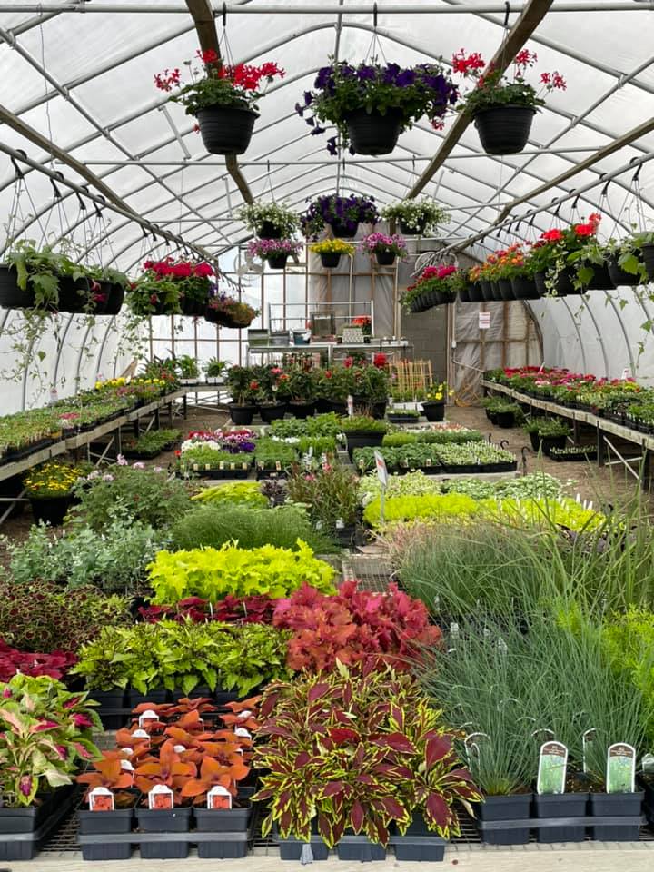 i-and-m-landscaping-nursery,-inc.-gallery-01