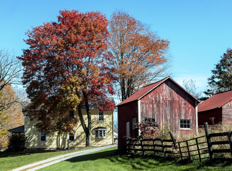 A yellow house and red barns sit in a yard with trees displaying bright autumn colors under a clear blue sky.