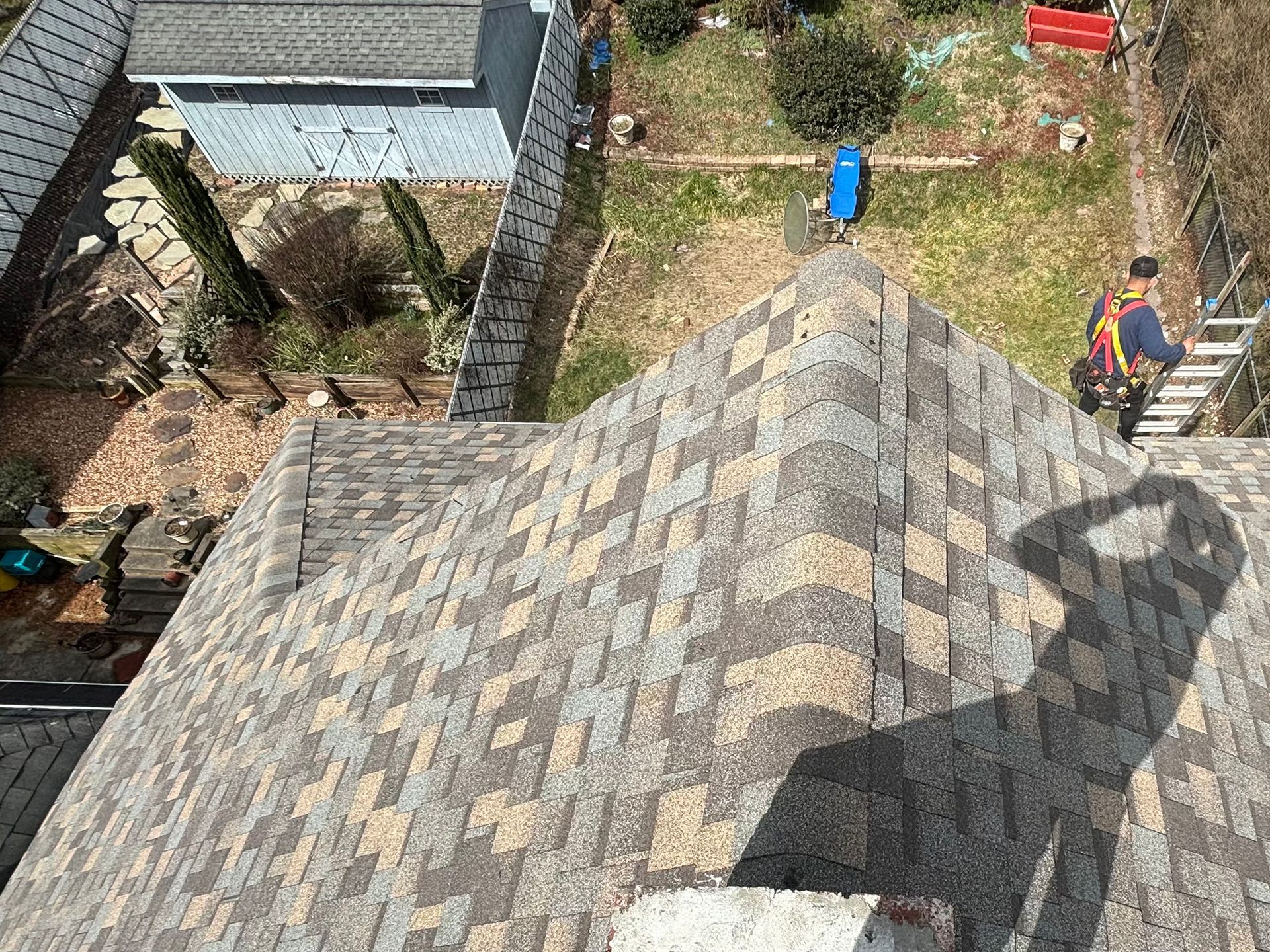 A view from a shingled roof looking down at a person on a ladder near a shed in a backyard.