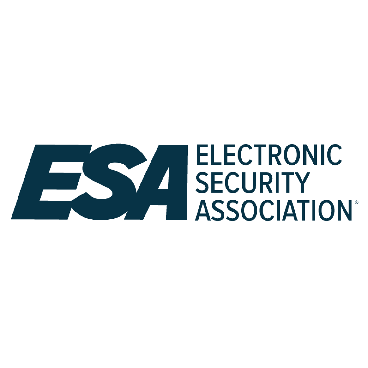 Electronic Security Association