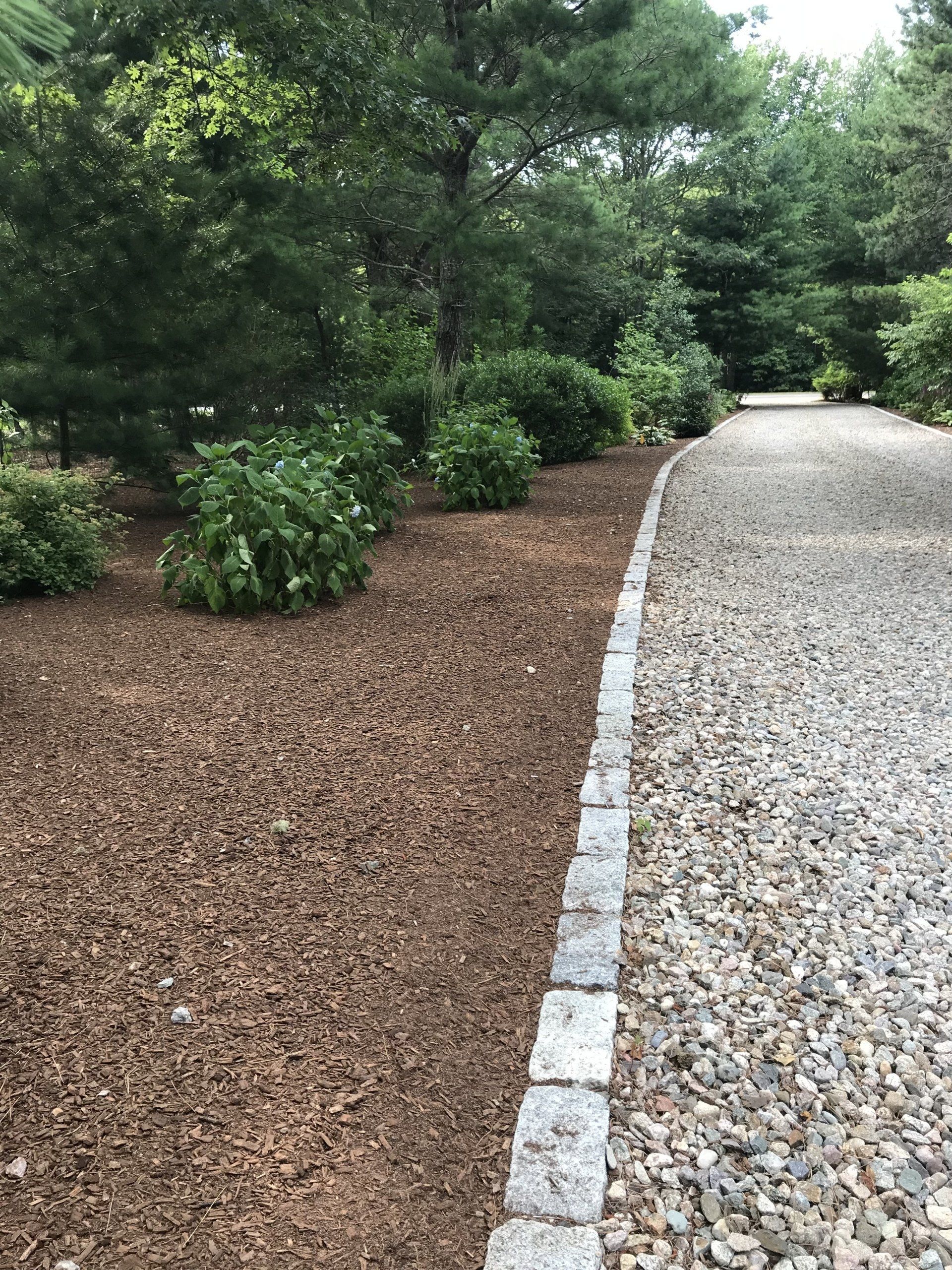 A gravel driveway leading to a lush green forest