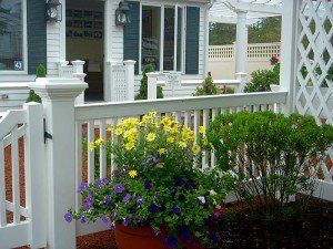 A white fence with a potted plant in front of it