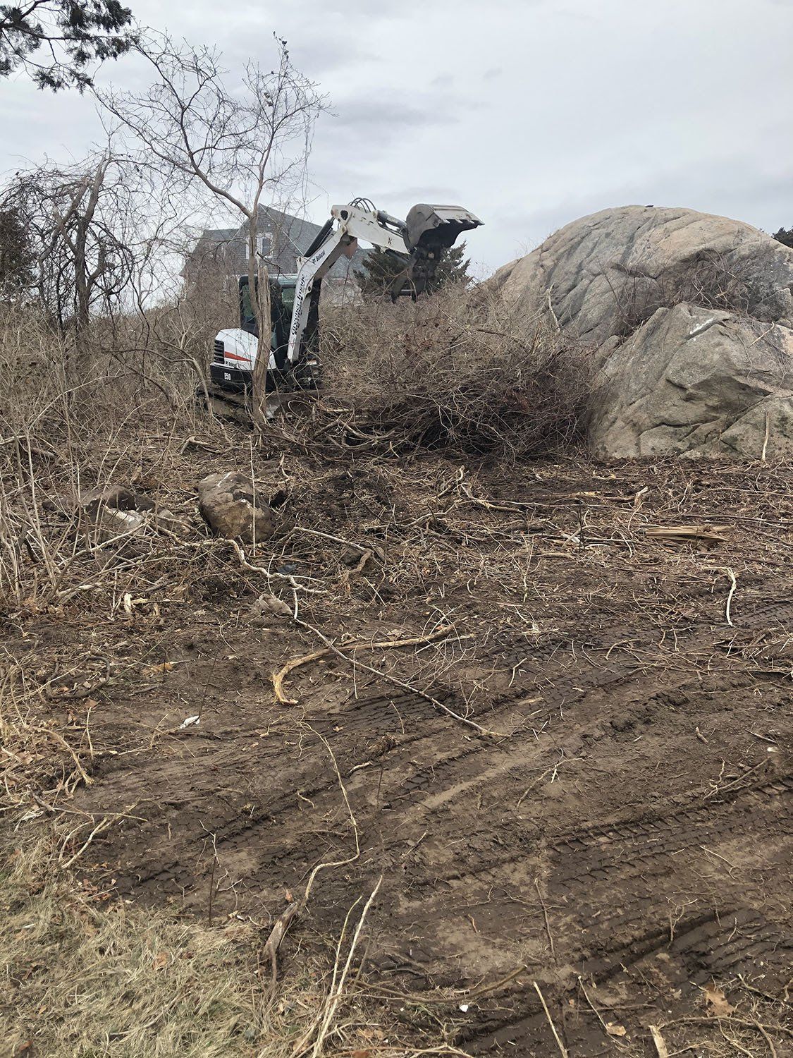 A bulldozer is clearing brush from a field.