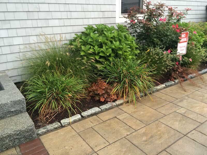 A garden with a sign that says no parking in front of a house