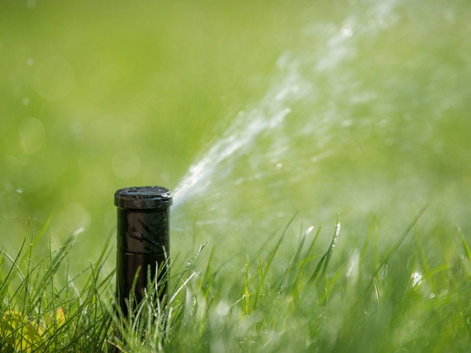 Irrigation