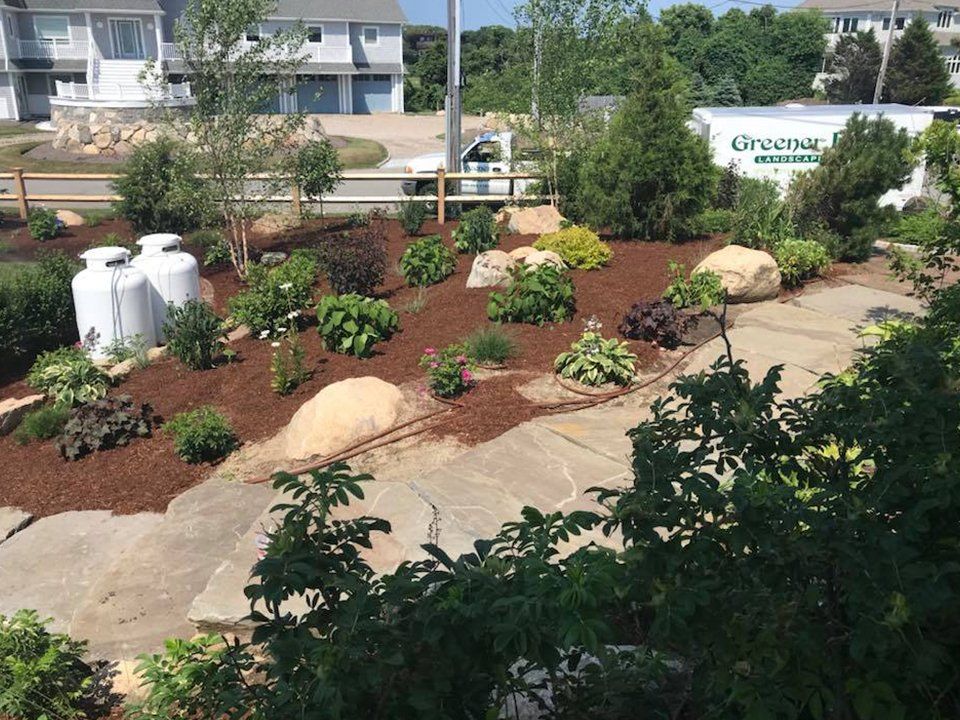 Tree and Shrub Care