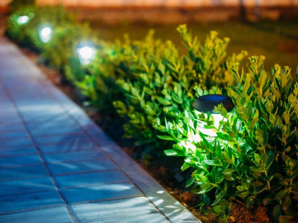 Landscape Lighting
