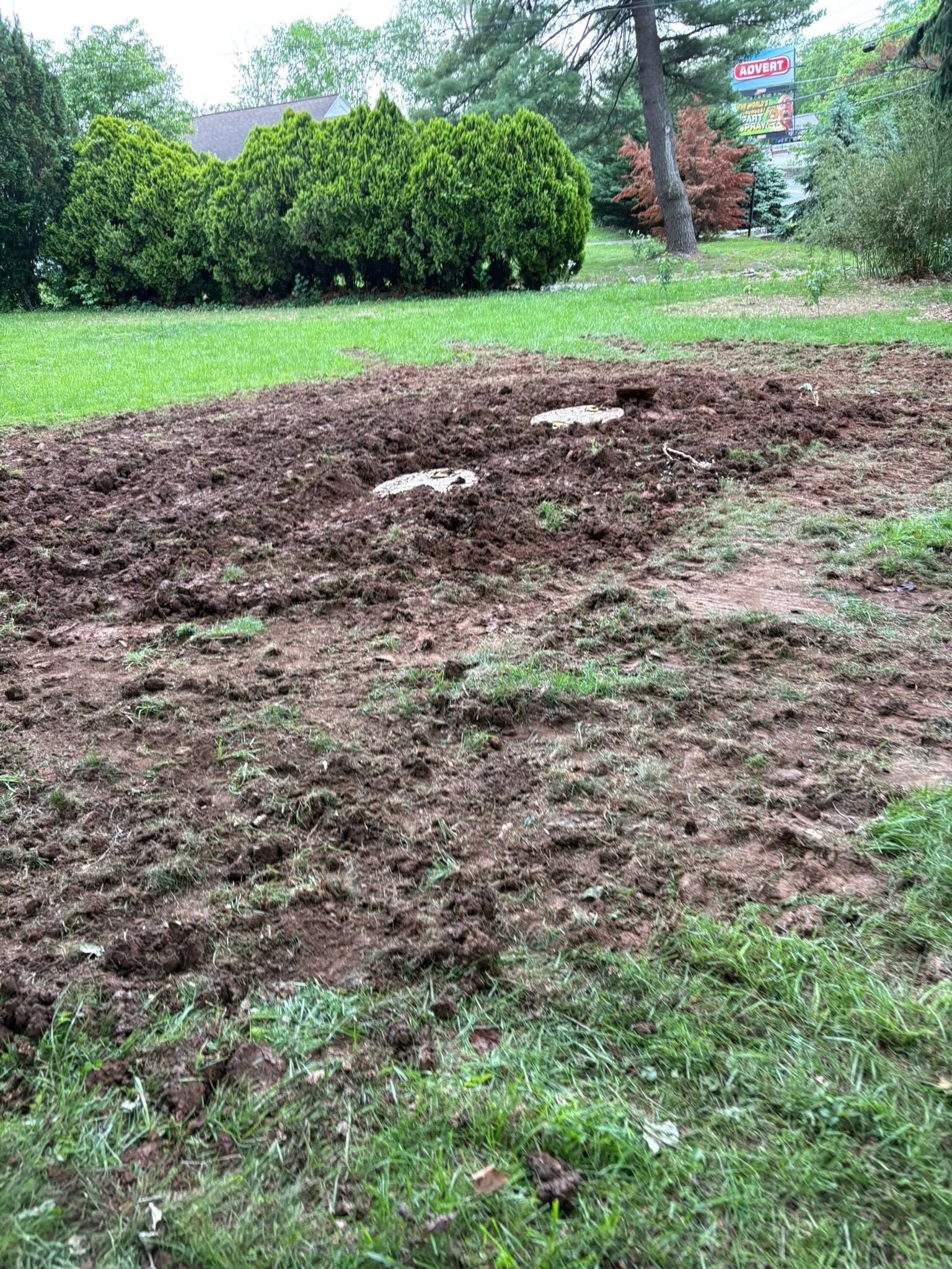 A bare dirt patch in a green grassy field with trees in the background.