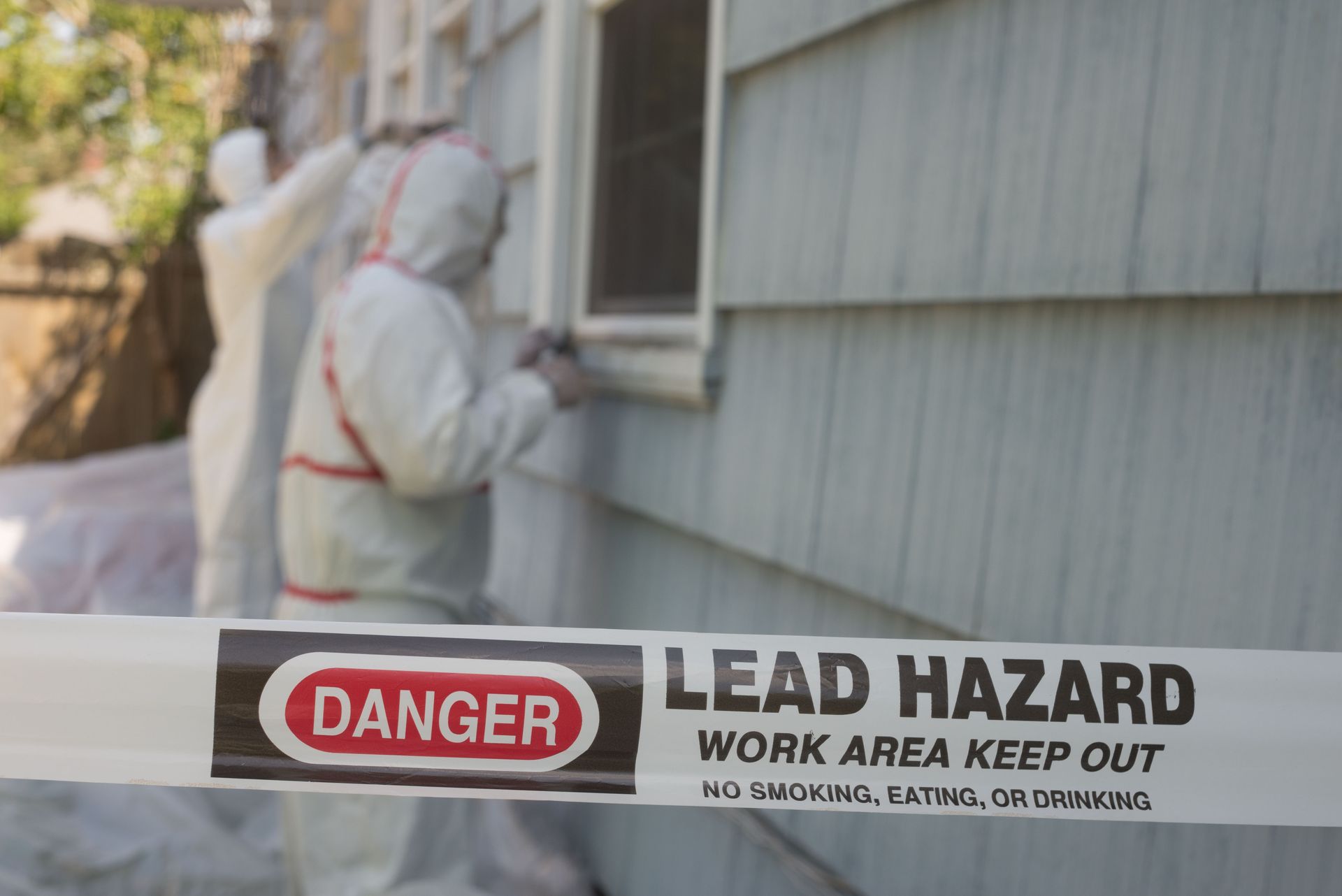 lead removal services