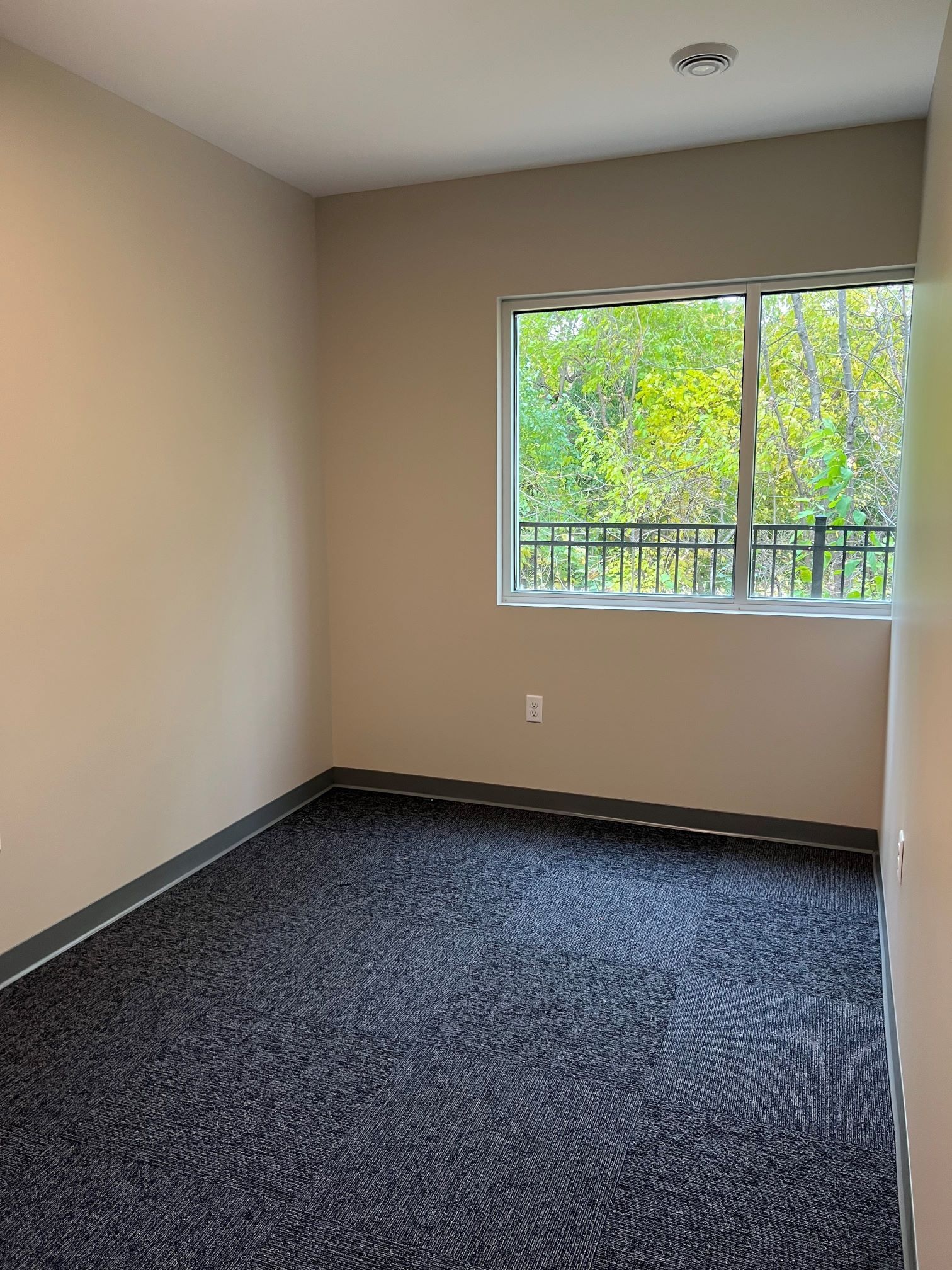 Empty room with dark patterned carpet, window overlooking green foliage, neutral walls.