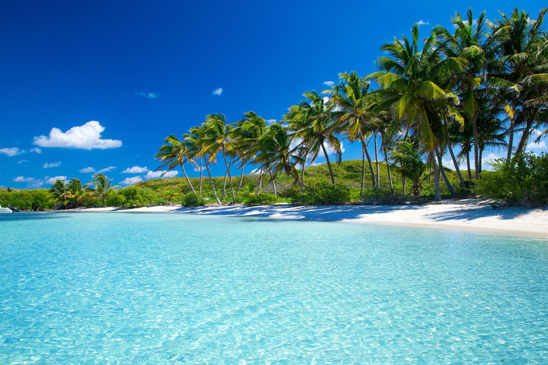 A tropical beach with palm trees and a white sandy beach