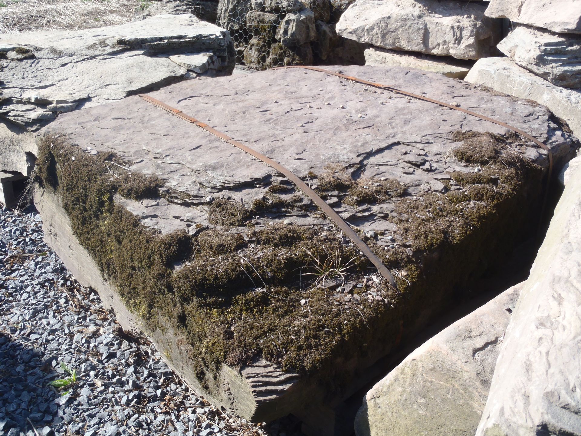 a large rock with moss on it sits in a pile of rocks