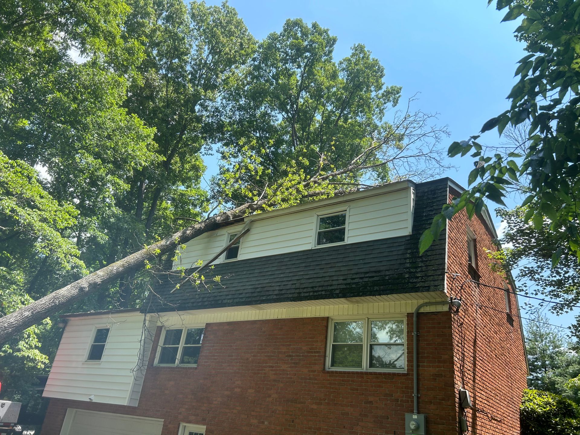 A tree has fallen on the roof of a brick house.