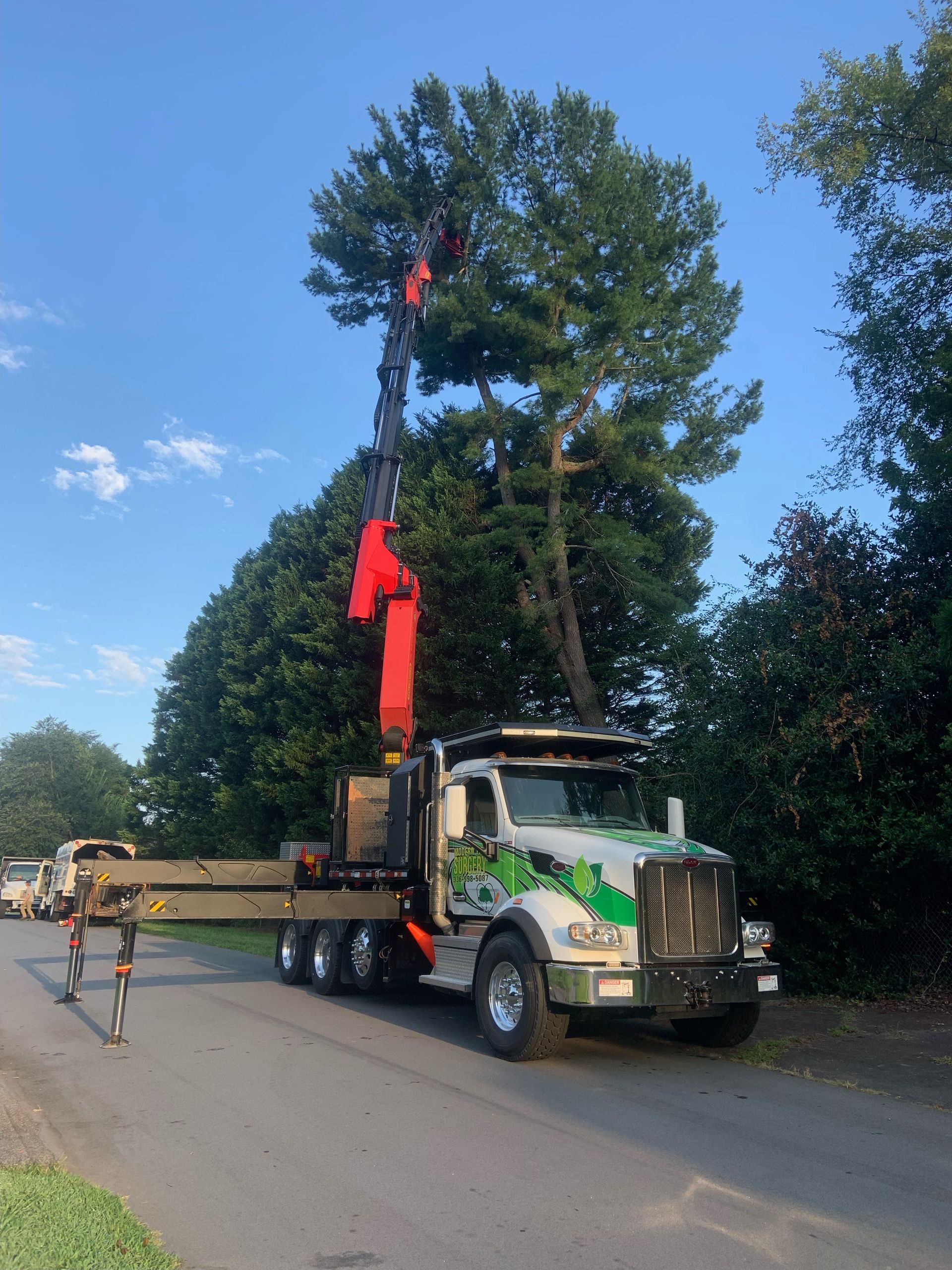 A truck with a crane attached to it is carrying a tree.