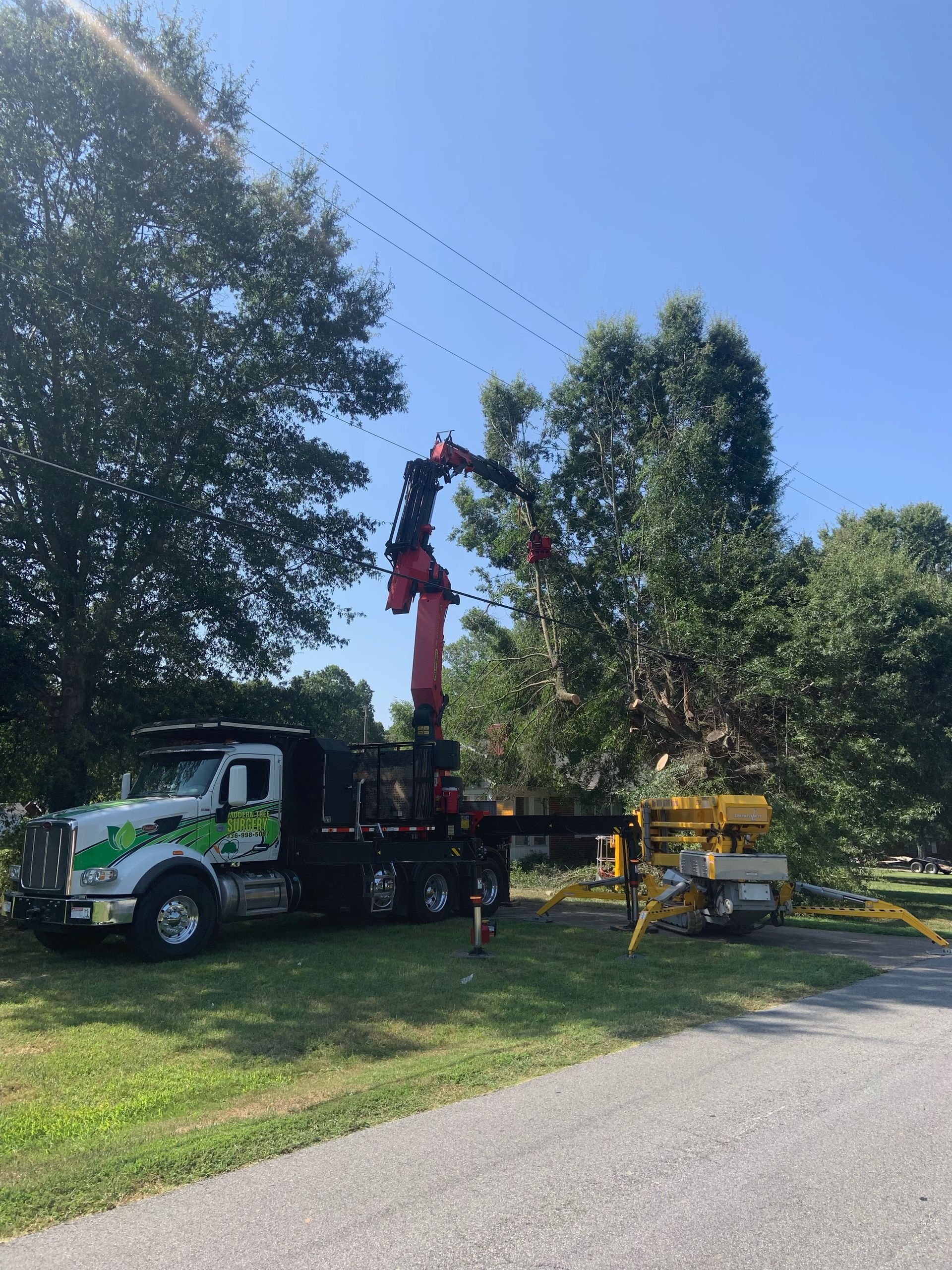 A truck with a crane attached to it is carrying a tree.