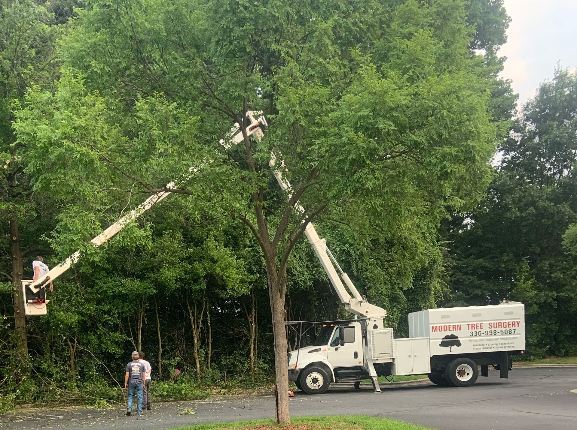 A man is standing next to a truck that is cutting a tree.