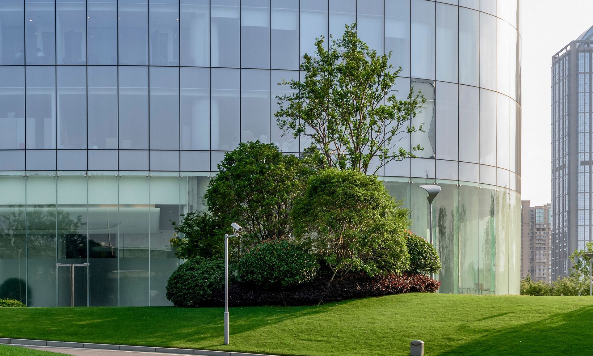 A large glass building with a tree in front of it.