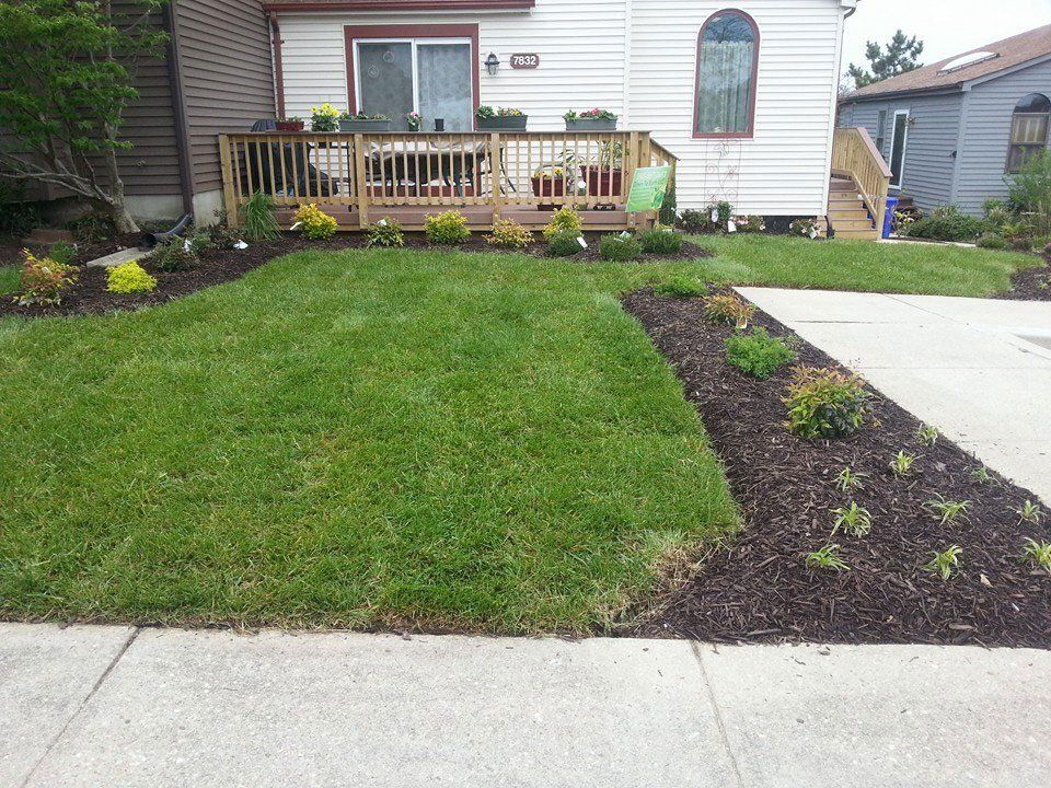 Lawn care