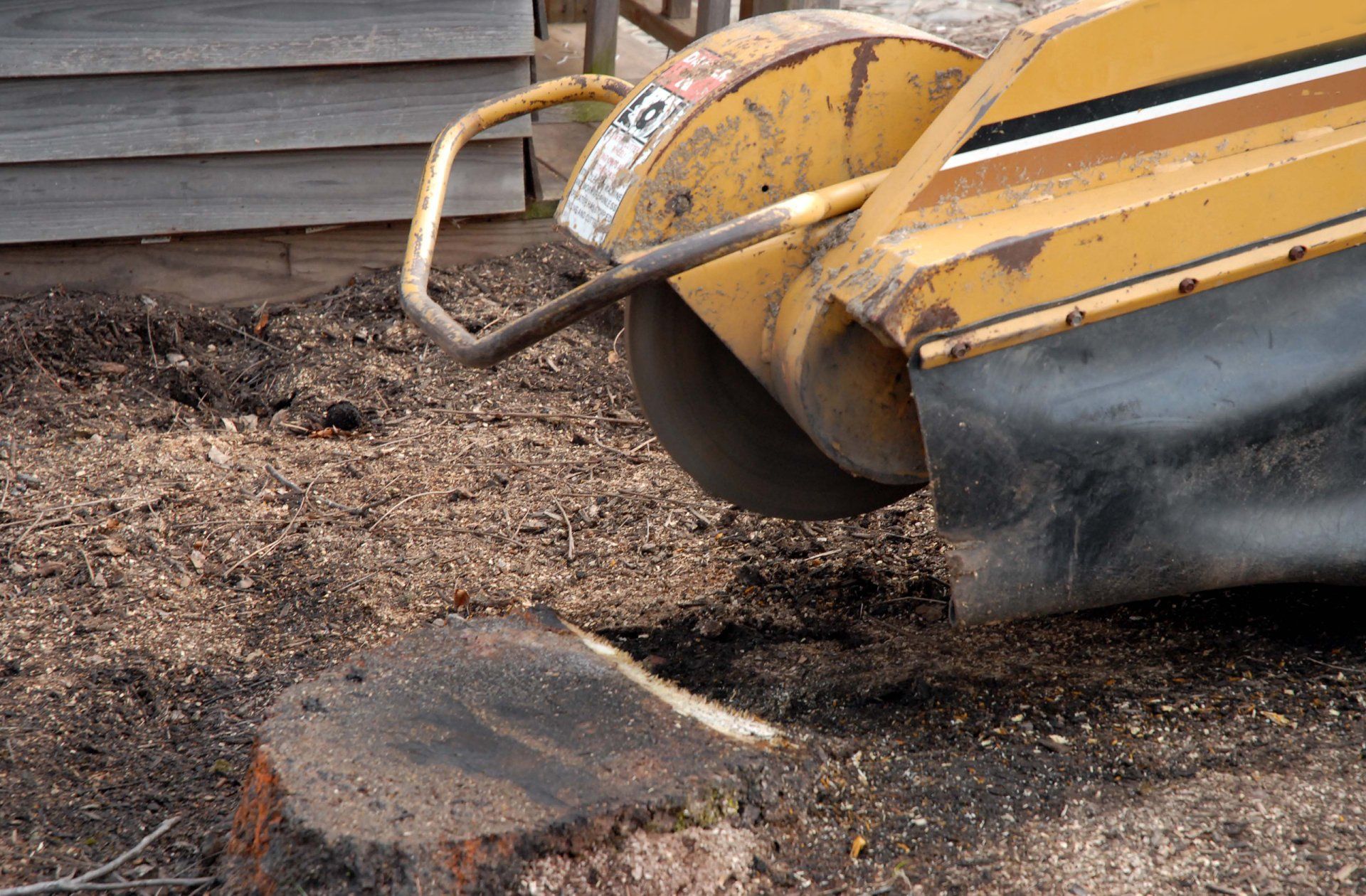 Learn More About Stump Grinding Stump grinding