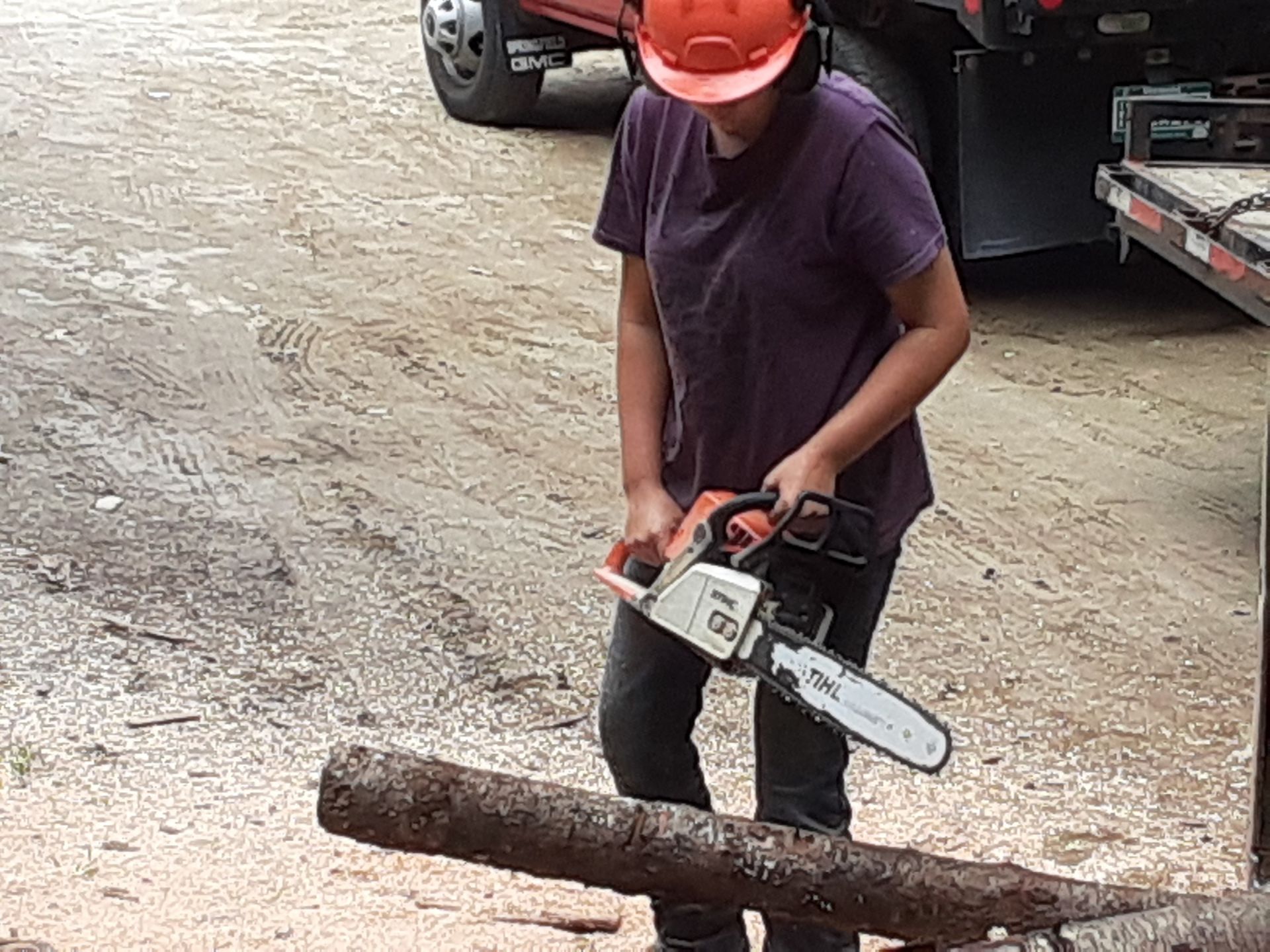 Person in orange hard hat uses a chainsaw to cut a log on a dirt surface.