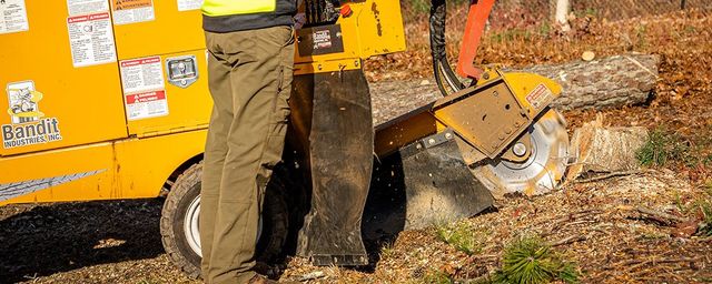 US ヴィンテージ PARK SHERMAN サイレントバトラー パンくず取り Stump Grinding and Removal | Plymouth, MA