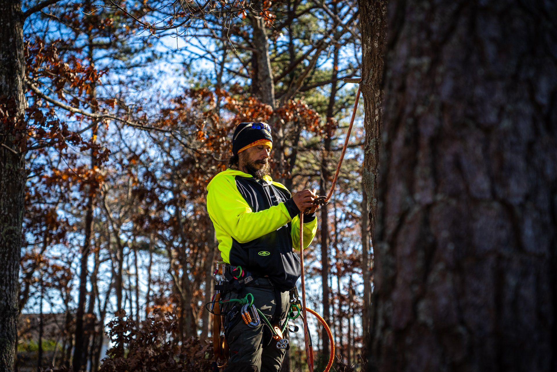 Tree climbing workwear