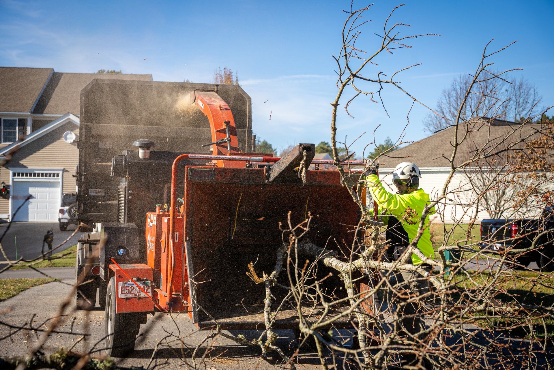 Stump grinding